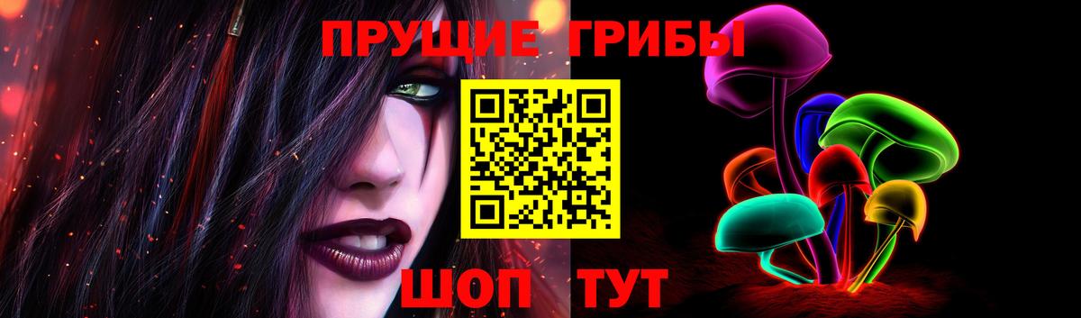 Псилоцибиновые грибы мухоморы Тамбов
